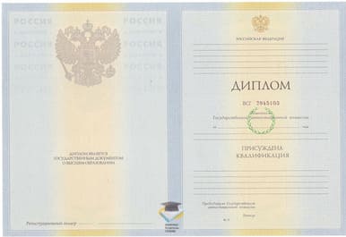 Диплом Брянского филиала ФУ при Правительстве РФ 2010-2011 годов